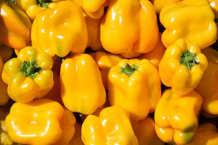 Produktbild Living Seeds Paprika Quadrato D'asti Giallo (Gemüsesamen)