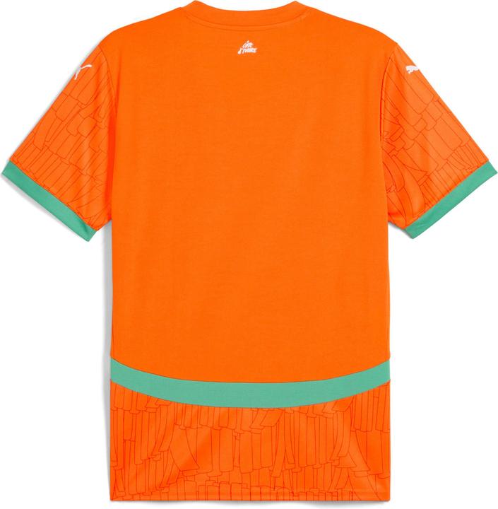 Image du produit Puma FIF Home Jersey Replica (L)