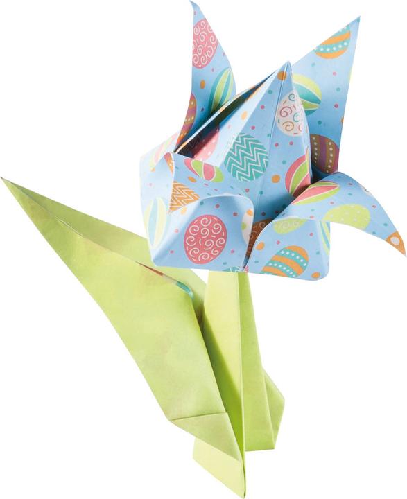 Image du produit Folia Set-flles pliage 15x15/7.5x7.5 (80 g/m², 170x)