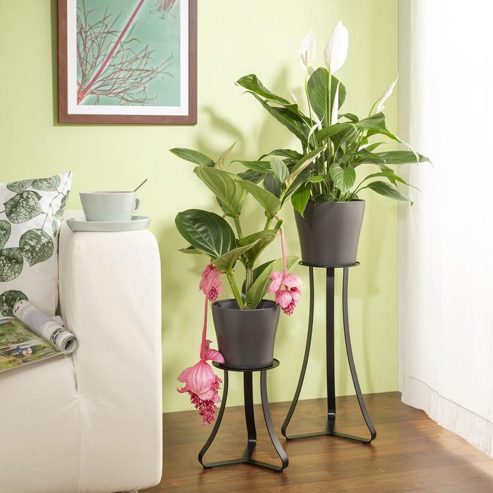 Produktbild Scheurich Paris 51