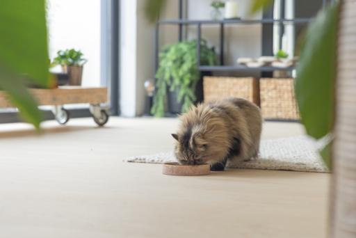 Immagine prodotto Designed by Lotte Jace (35 cl)