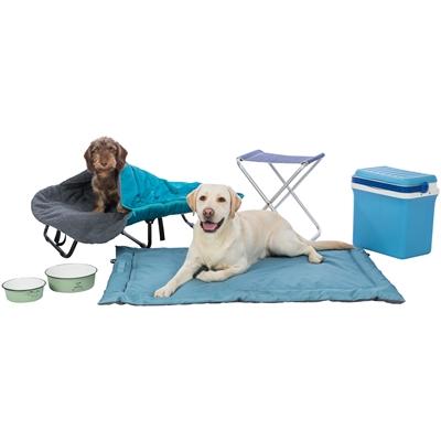 Gamelle, en émail/acier inox