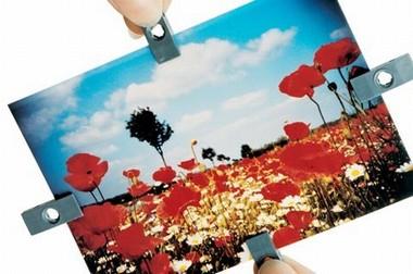Actual product image Lomo Photo clips (Various)