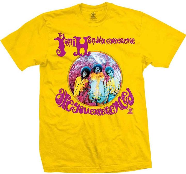 Jimi Hendrix Are You Experienced