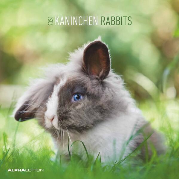 Produktbild Alpha Edition Kaninchen 2024 - Broschürenkalender 30x30 cm (30x60 geöffnet) - Kalender mit Platz für Notizen - (Deutsch)