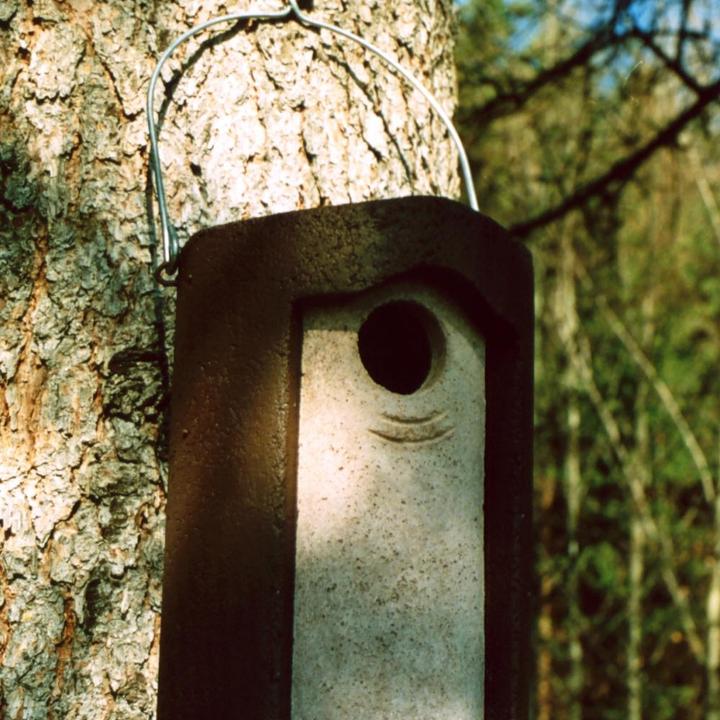 Immagine prodotto Schwegler Foro del nido