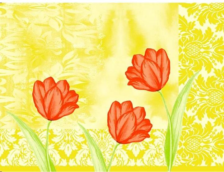 Image du produit Tischsets Sally (40 x 30 cm)