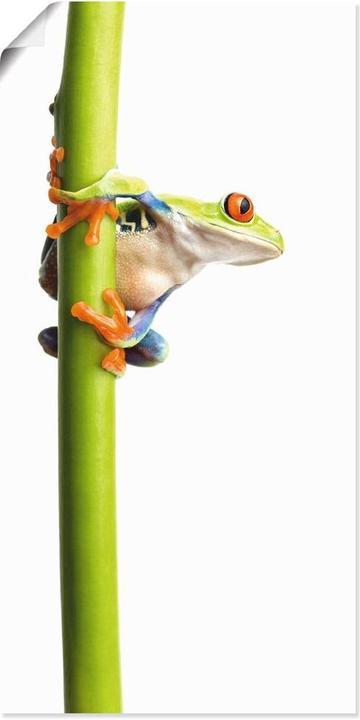 Produktbild Artland Frosch umfasst einen Pflanzenstengel T5WZ (30 x 60 cm)