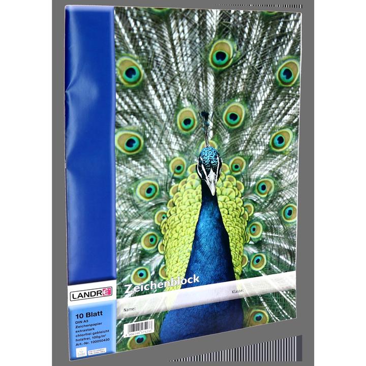 Image du produit Landré Bloc à dessin 100g A3 10BL 4 motifs blanc (A3, Blanc)