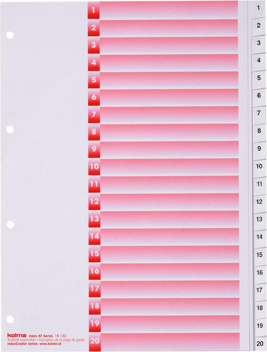 Actual product image Kolma Index A4 strong 1-20 20-piece white