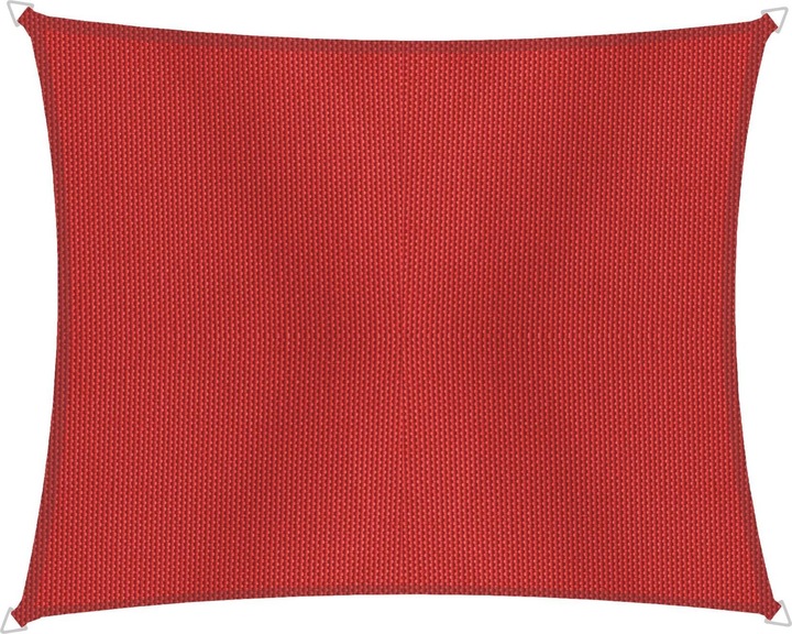 Rot