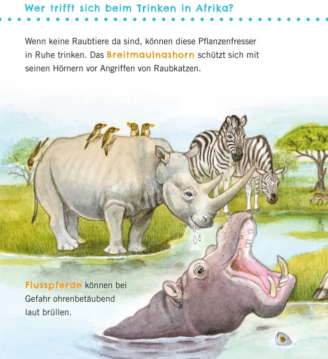 Immagine prodotto Unkaputtbar: Erstes Wissen: Grosse Tiere (Tedesco, Petra Klose, 2021)