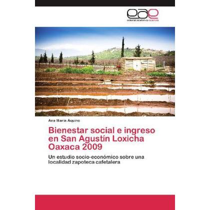 Bienestar social e ingreso en San Agustín Loxicha Oaxaca 2009, Fachbücher