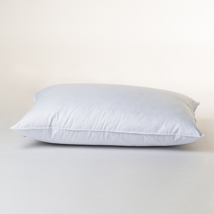 Produktbild Duvetsuisse Forte Standard (40 x 90 cm)