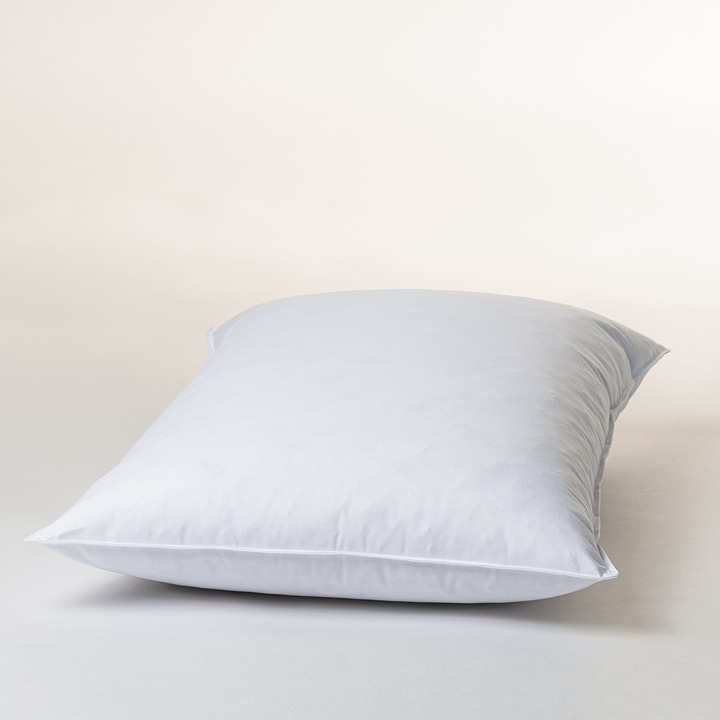 Produktbild Duvetsuisse Forte Standard (40 x 90 cm)