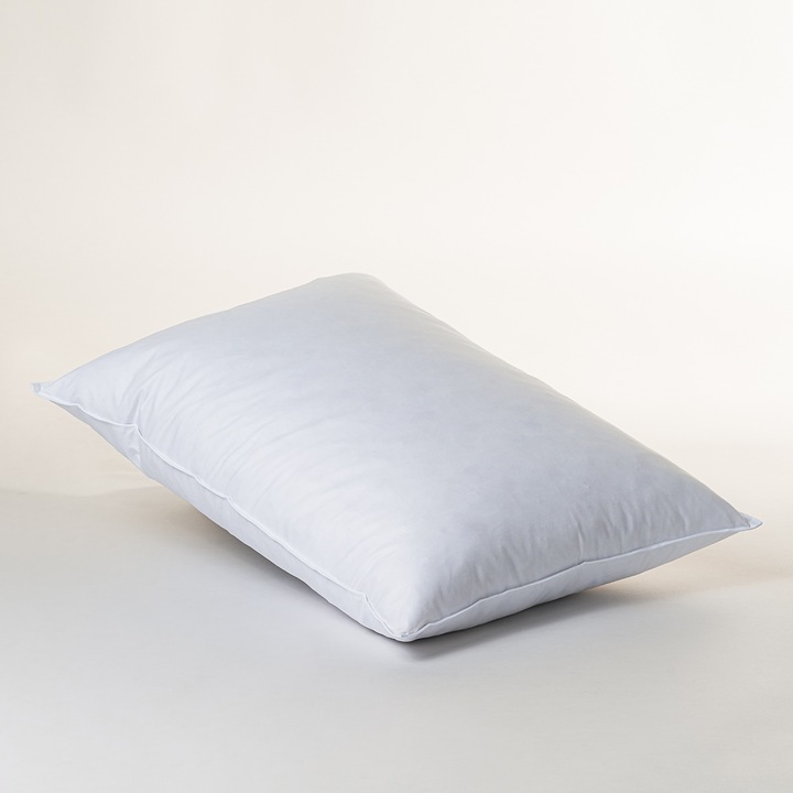 Produktbild Duvetsuisse Forte Standard (50 x 60 cm)