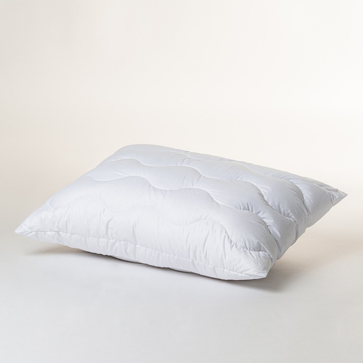 Image du produit Duvetsuisse All in One Flexi Premium (50 x 75 cm)