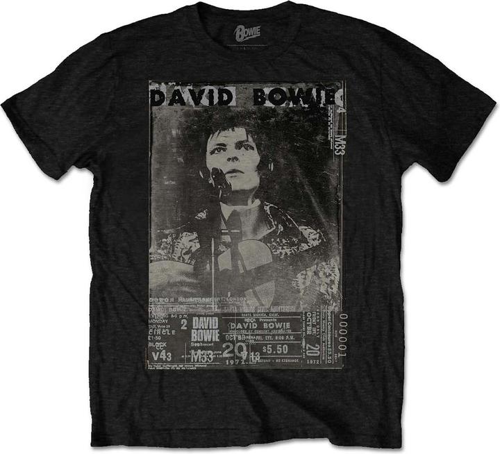 Image du produit David Bowie Ziggy (L)