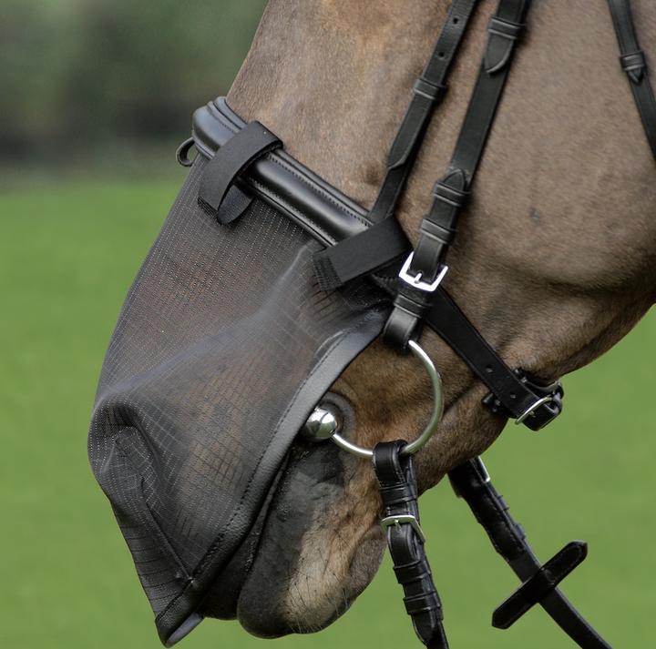 Actual product image Waldhausen Fly Nose Protection