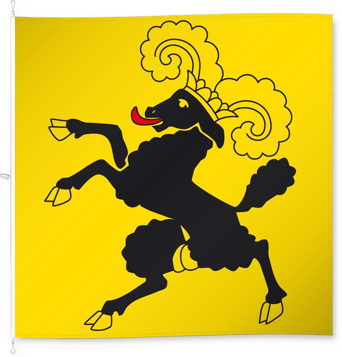 Image du produit Alpenfahnen Schaffhausen (200 x 200 cm)