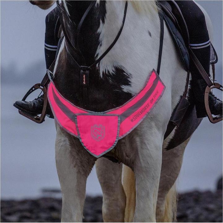 Image du produit Soulhorse Avant-train lumineux