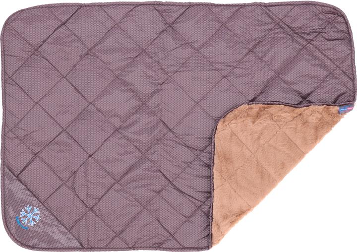 Thermo Switch Samos (Chien)