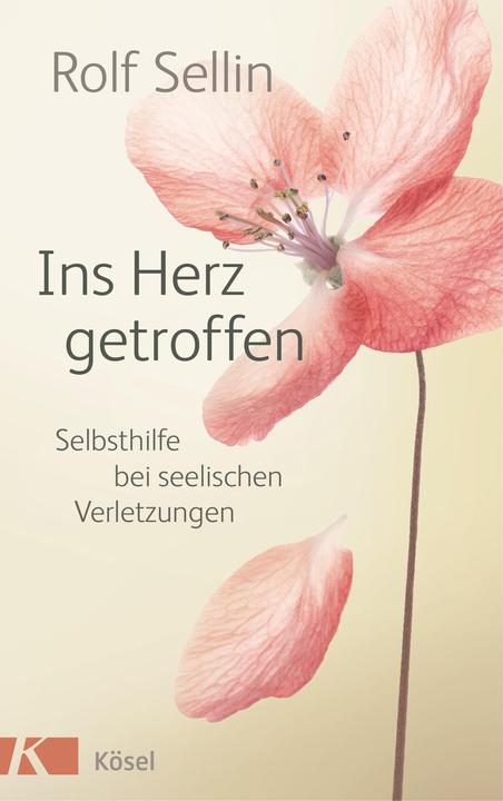 Produktbild Ins Herz getroffen (Deutsch, Rolf Sellin, 2016)