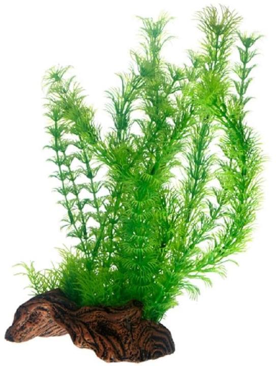 Image du produit Hobby Plante artificielle Flora Root 3, L, 30 cm (Plantes, Plantes)