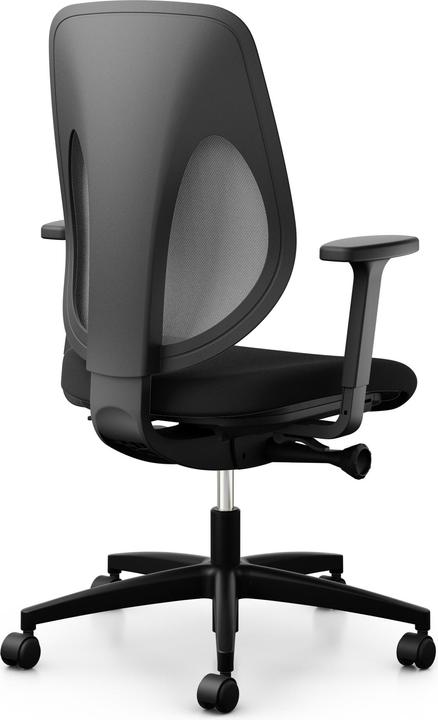 Actual product image Giroflex 353-4029 Mesh backrest light grey with armrests XTREME