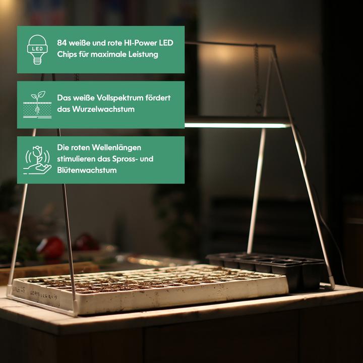 Immagine prodotto Venso Growlight Duo (LED)