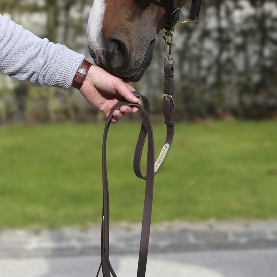 Immagine prodotto Kentucky Horsewear Corda dimostrativa 2m Biothane Beta