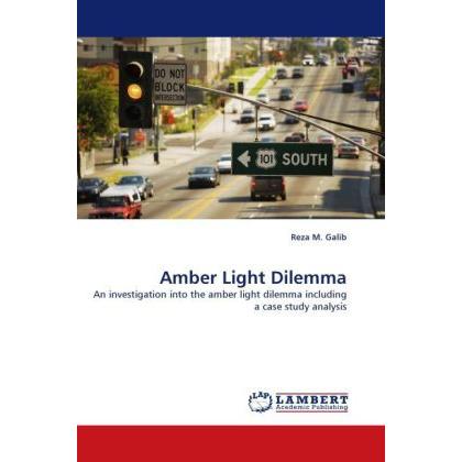 Amber Light Dilemma, Fachbücher von Reza M. Galib