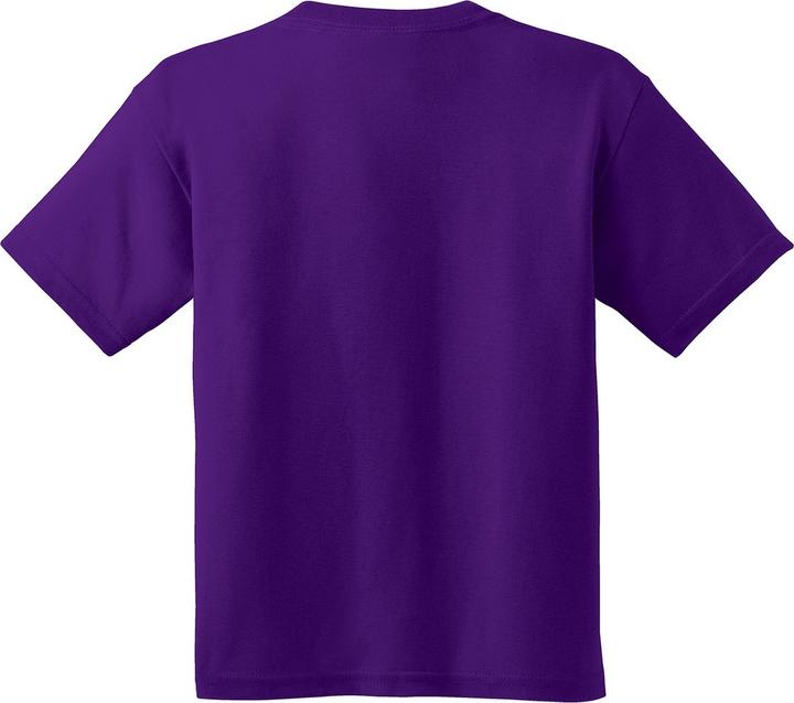 Actual product image Gildan Tshirt (2 piece pack) (XS)