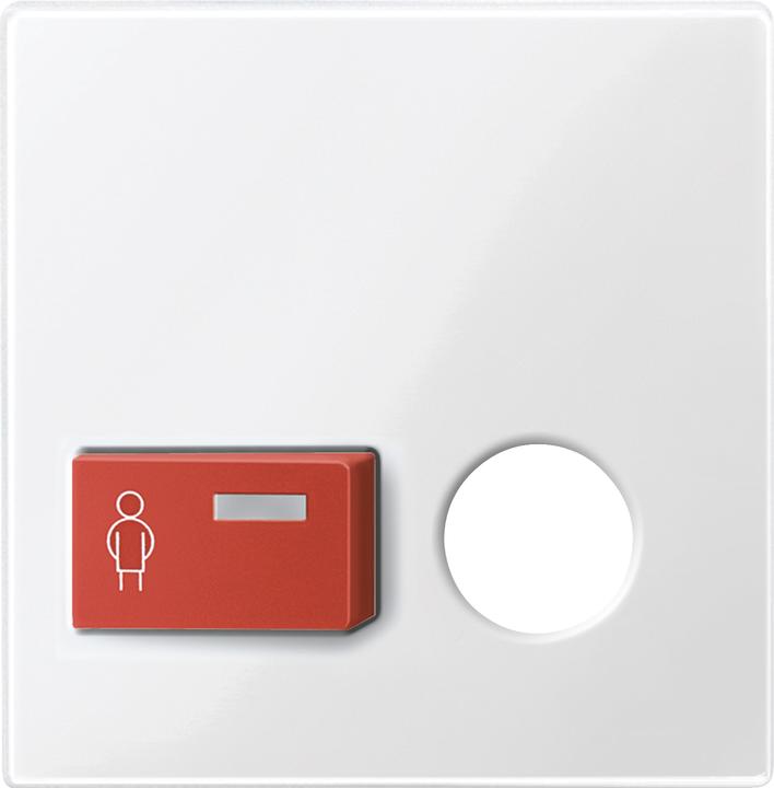 Produktbild Merten Klinik Zentralstück polws System M ZP 450619