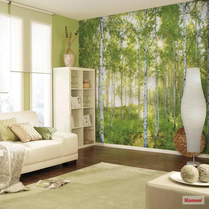 Produktbild National Geographic Monday (368 x 254 cm)