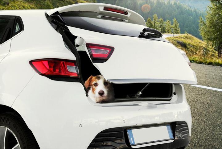 Immagine prodotto Lampa Gancio di chiusura del bagagliaio per la ventilazione dell'interno del veicolo