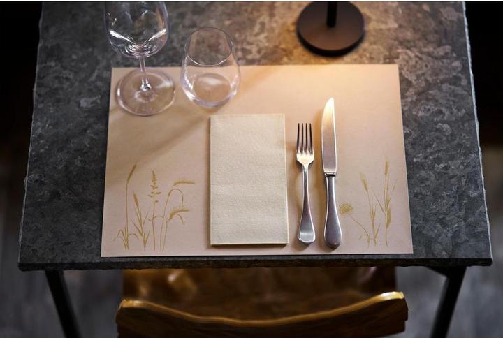 Image du produit Duni Bio-Dunicel-Sets 30x40 Meadow natural (40 x 30 cm)