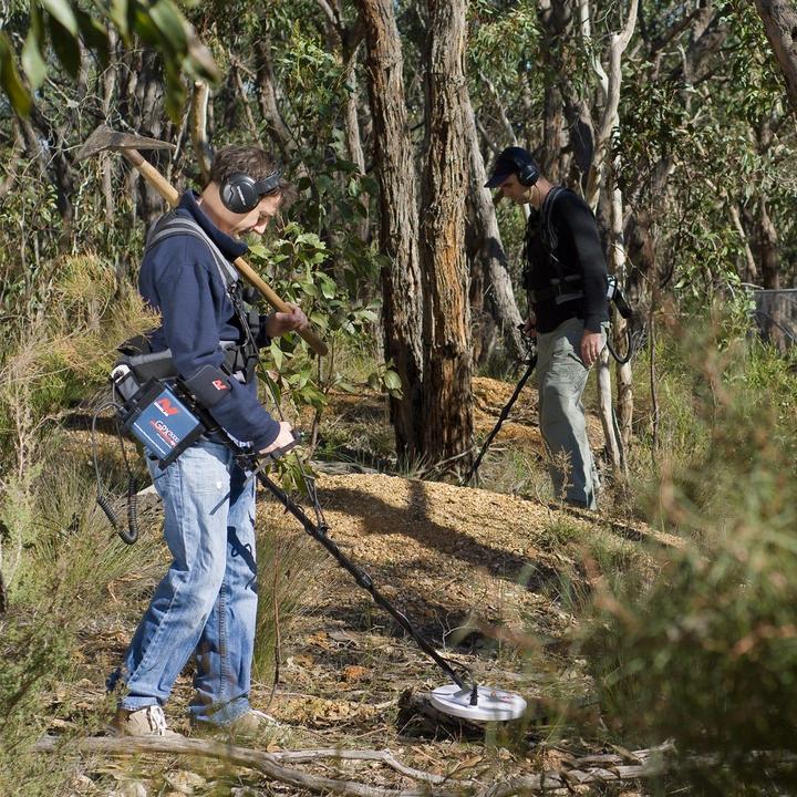 Produktbild Minelab GPX 5000