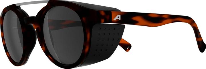 Produktbild ALPINA SPORTS Glace