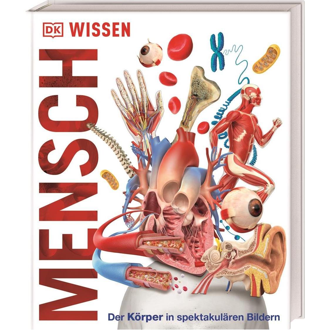 Wissen - Mensch, Kinderbücher