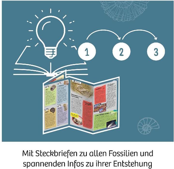 Image du produit Kosmos Fossiles