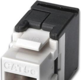 Produktbild Digitus CAT 5e, Klasse D Keystone Modul, ungeschirmt, werkzeugfreier Montageanschluss (Keystone Modul)
