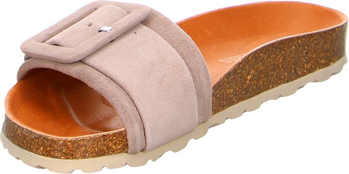 Actual product image Verbenas Reiko (39)
