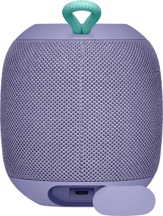 Actual product image UE Wonderboom (10 h, Rechargeable battery operated)