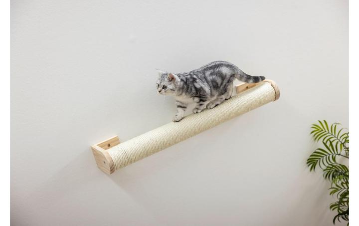 Actual product image Kerbl Wall scraper column (Beige)