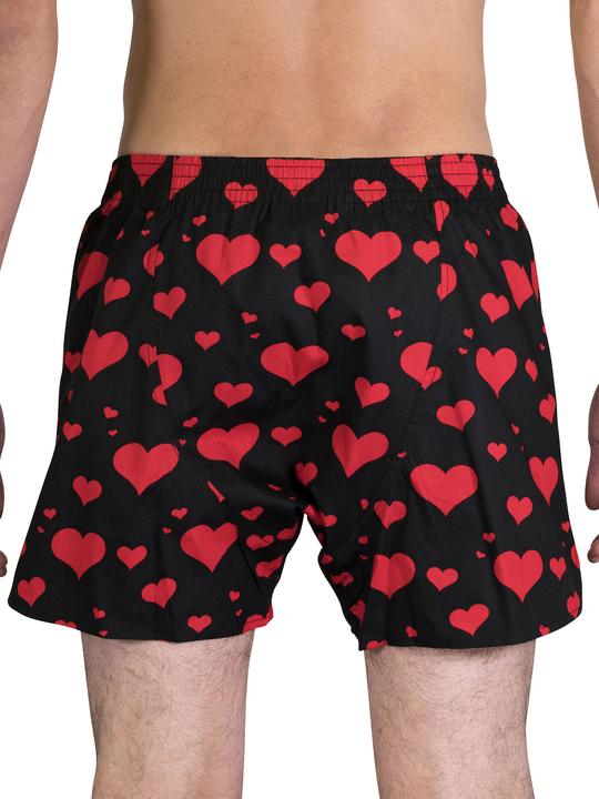Produktbild Sugar Pine Boxer Motiv Print Mix (L, 6er Pack)