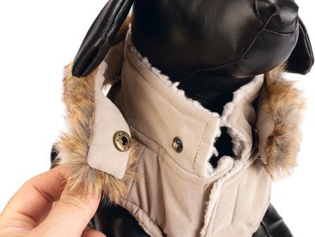 Actual product image Designed by Lotte Philos (L, Dog coat)