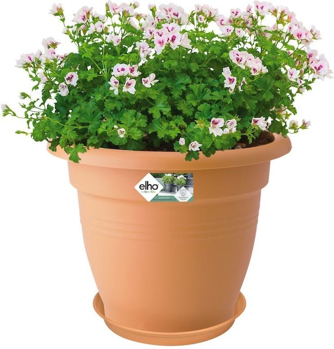 Produktbild Elho Pp