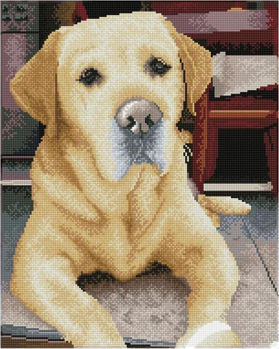 Diamond Dotz Diamond Painting Labrador