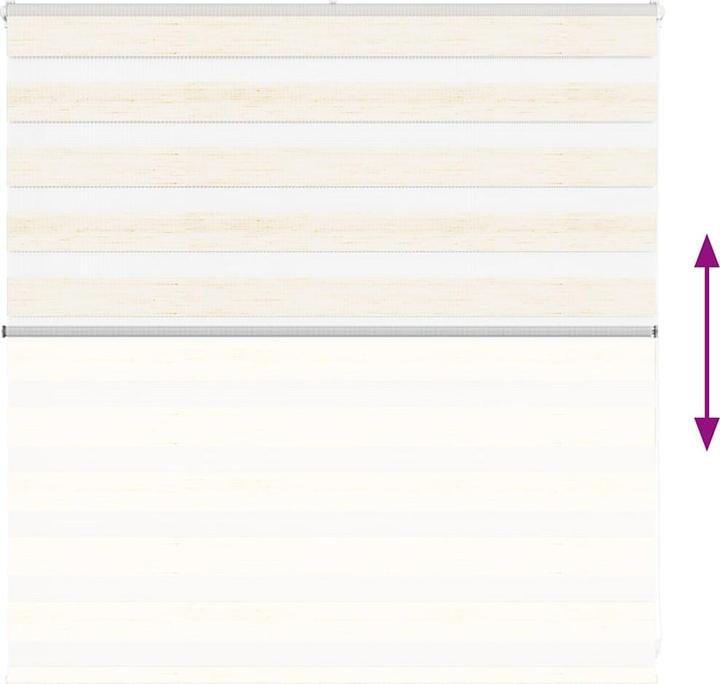 Produktbild vidaXL Zebra-Jalousie (145 x 100 cm)